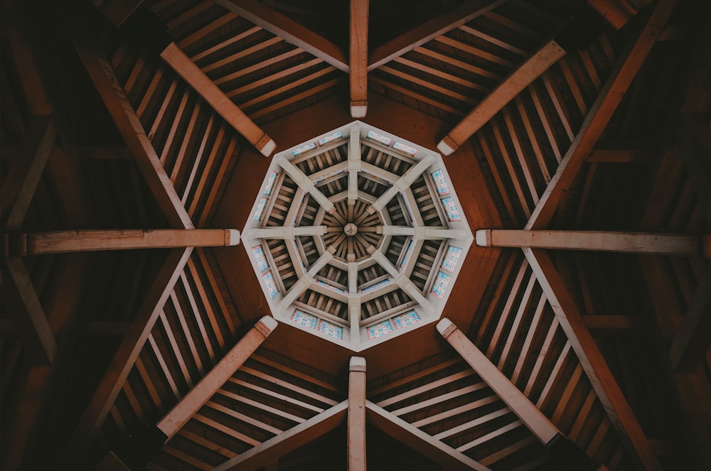 low-angle of brown and white dome building