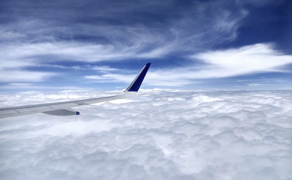 white and blue airplane wing