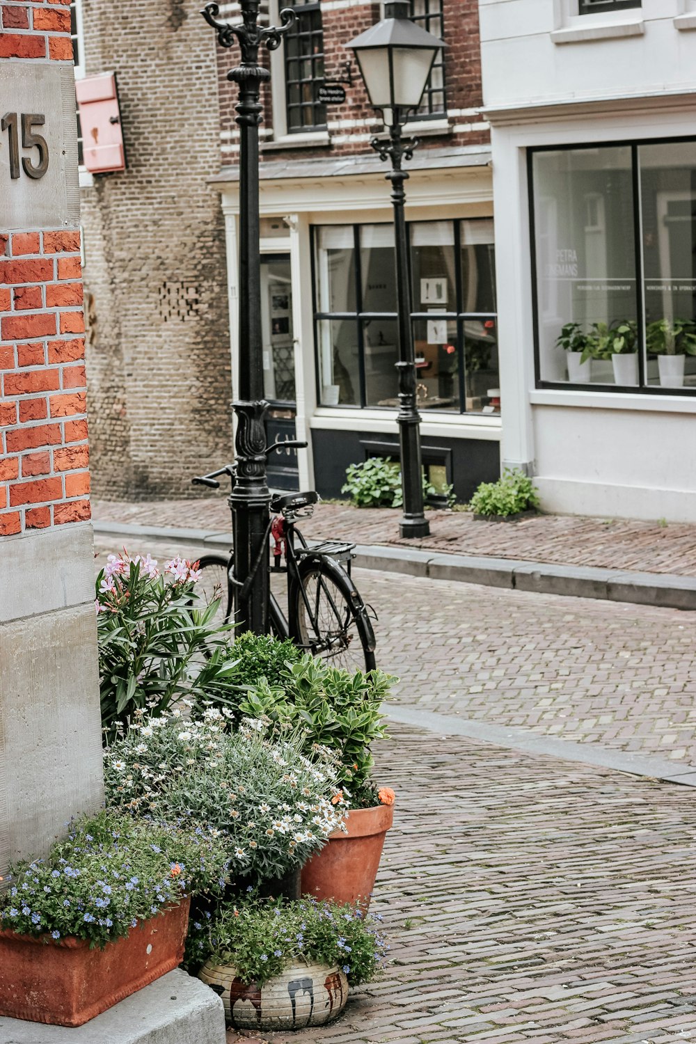 bicycle beside light post