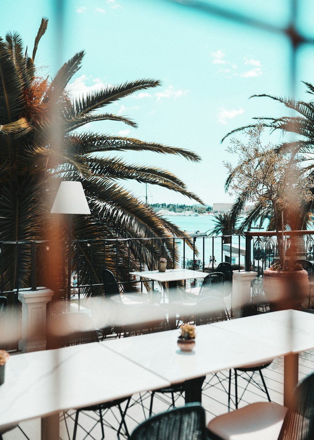 white tables and chairs near trees