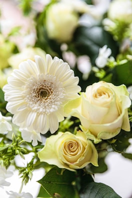 A close-up of a bouquet featuring a white gerbera daisy and pale yellow roses, surrounded by green leaves and small white flowers. The flowers are fresh and vibrant, displaying a delicate and elegant arrangement.