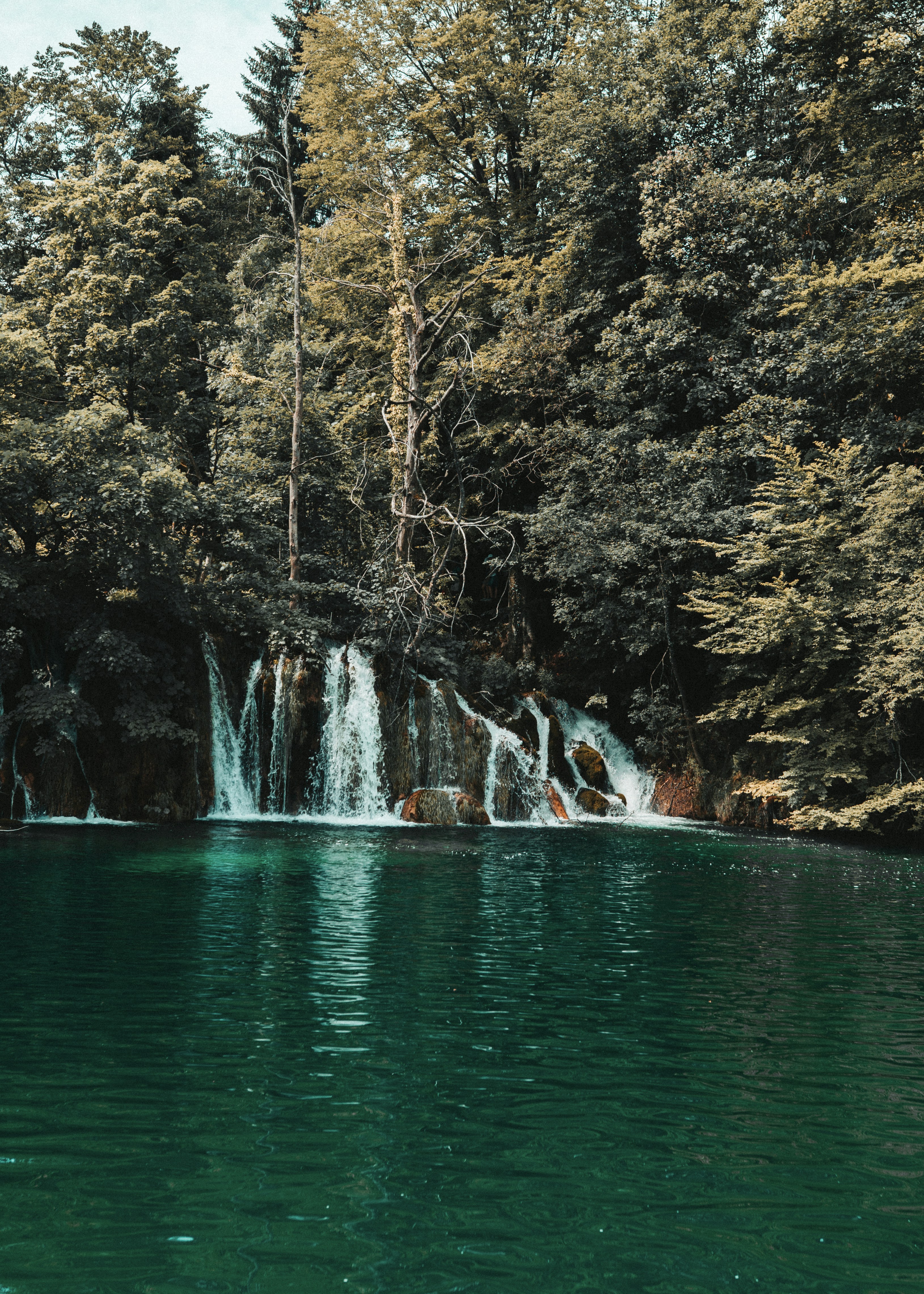 Photo by emilwidlund