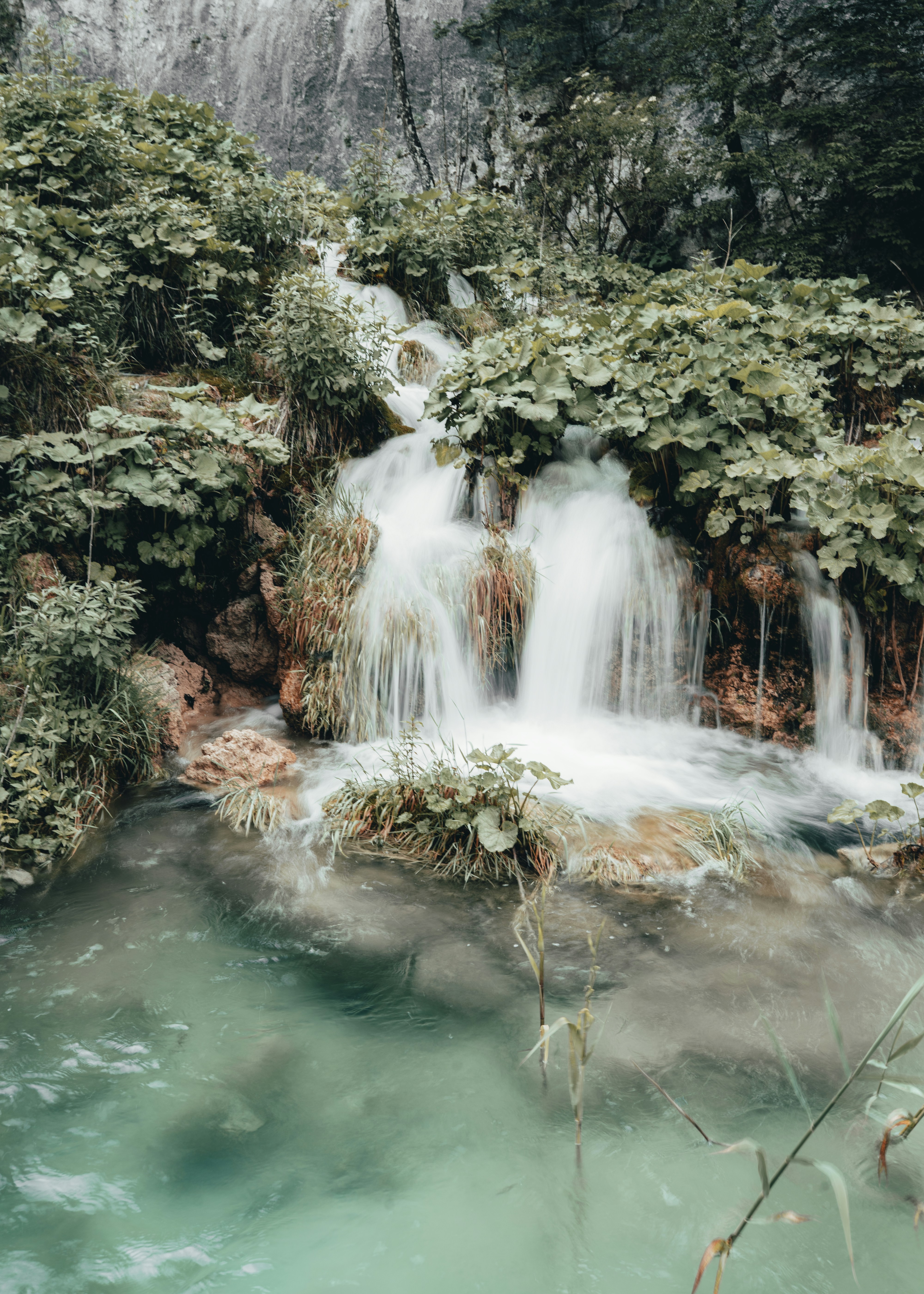 Photo by emilwidlund