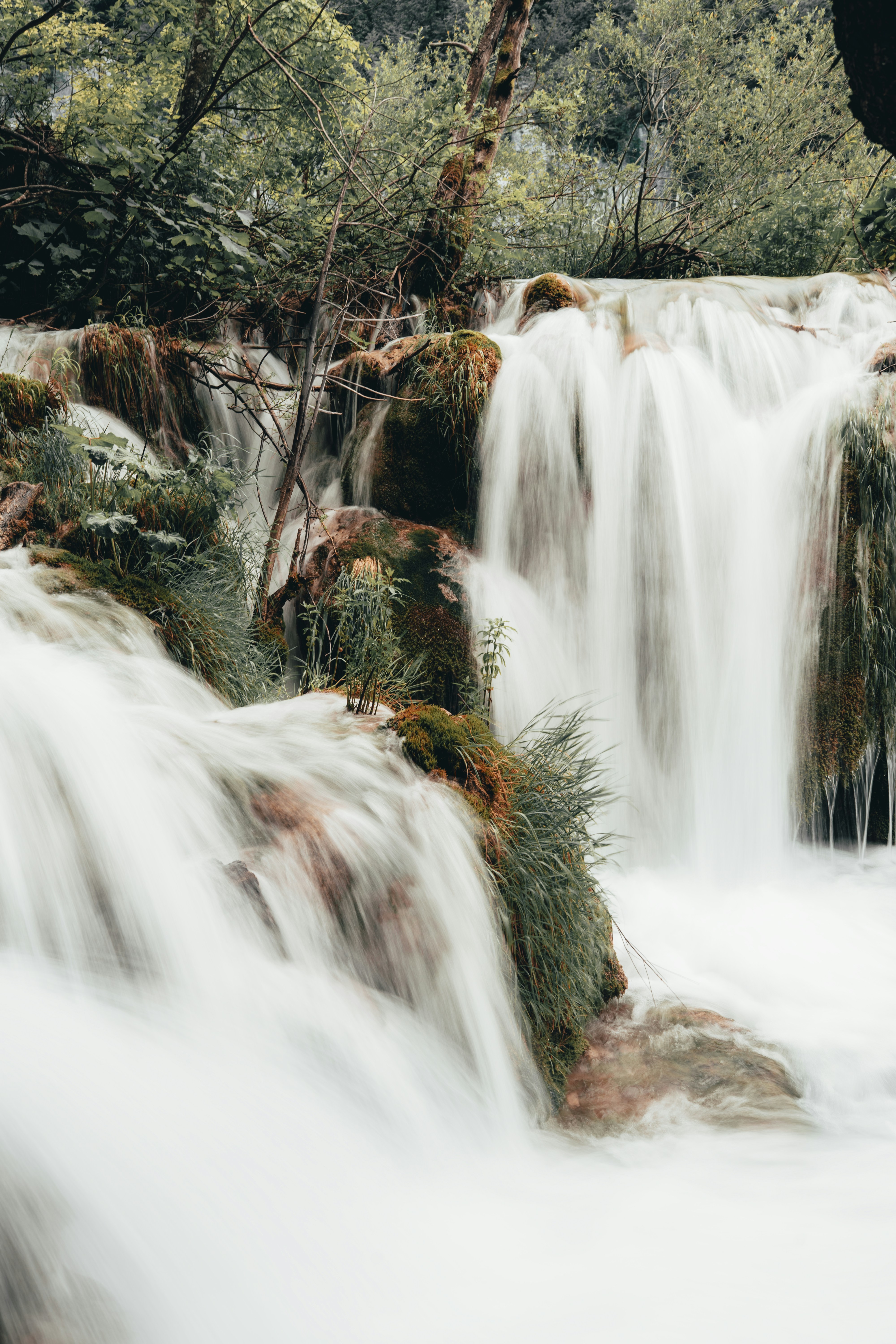 Photo by emilwidlund