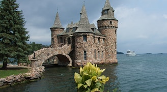 grey and brown stone castle by the sea