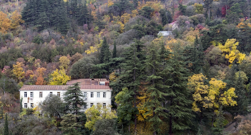 a house in the middle of a forest surrounded by trees