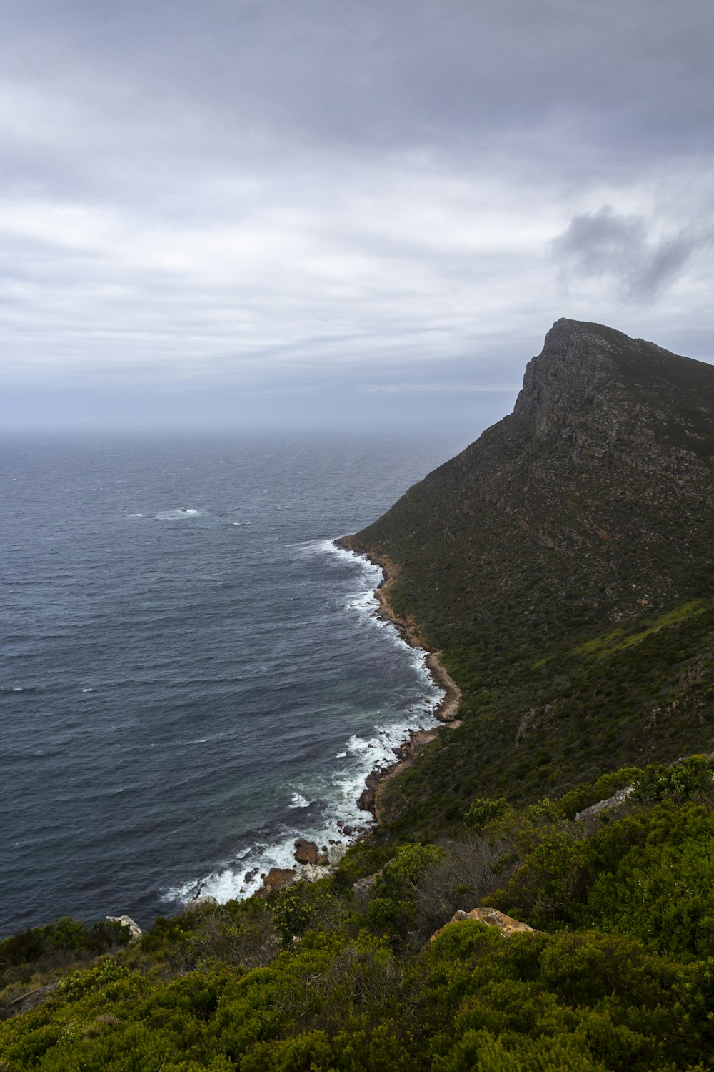 corpo de água ao lado de árvores verdes durante o dia