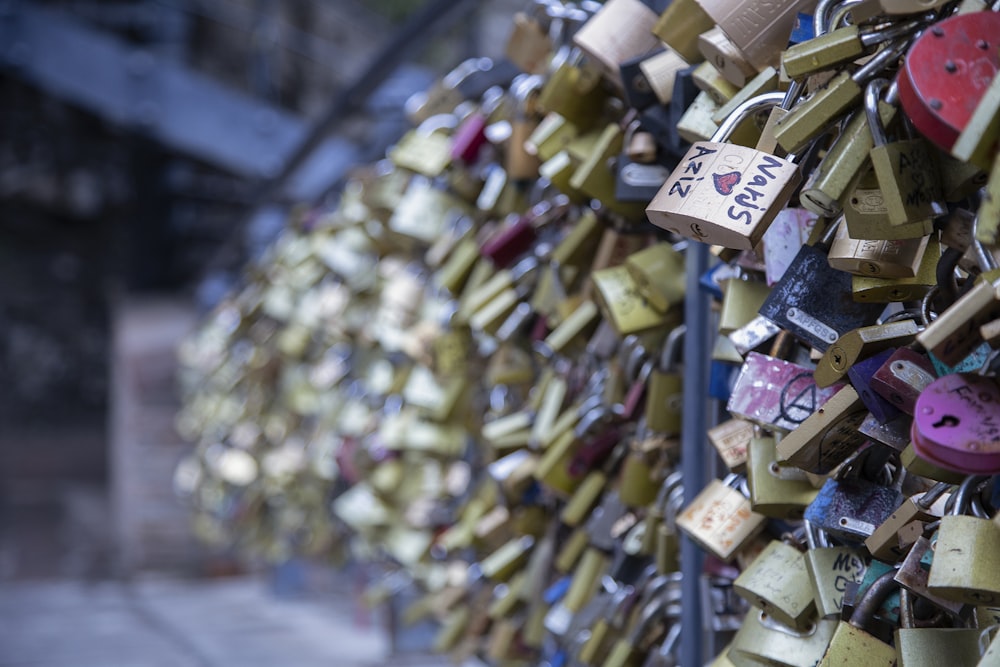 macro photography of love locks