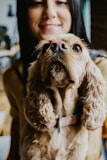 A smiling woman reading a pet care e-book, her happy dog watching beside her