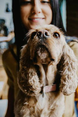 A friendly veterinarian holding a happy dog inside a cozy clinic.