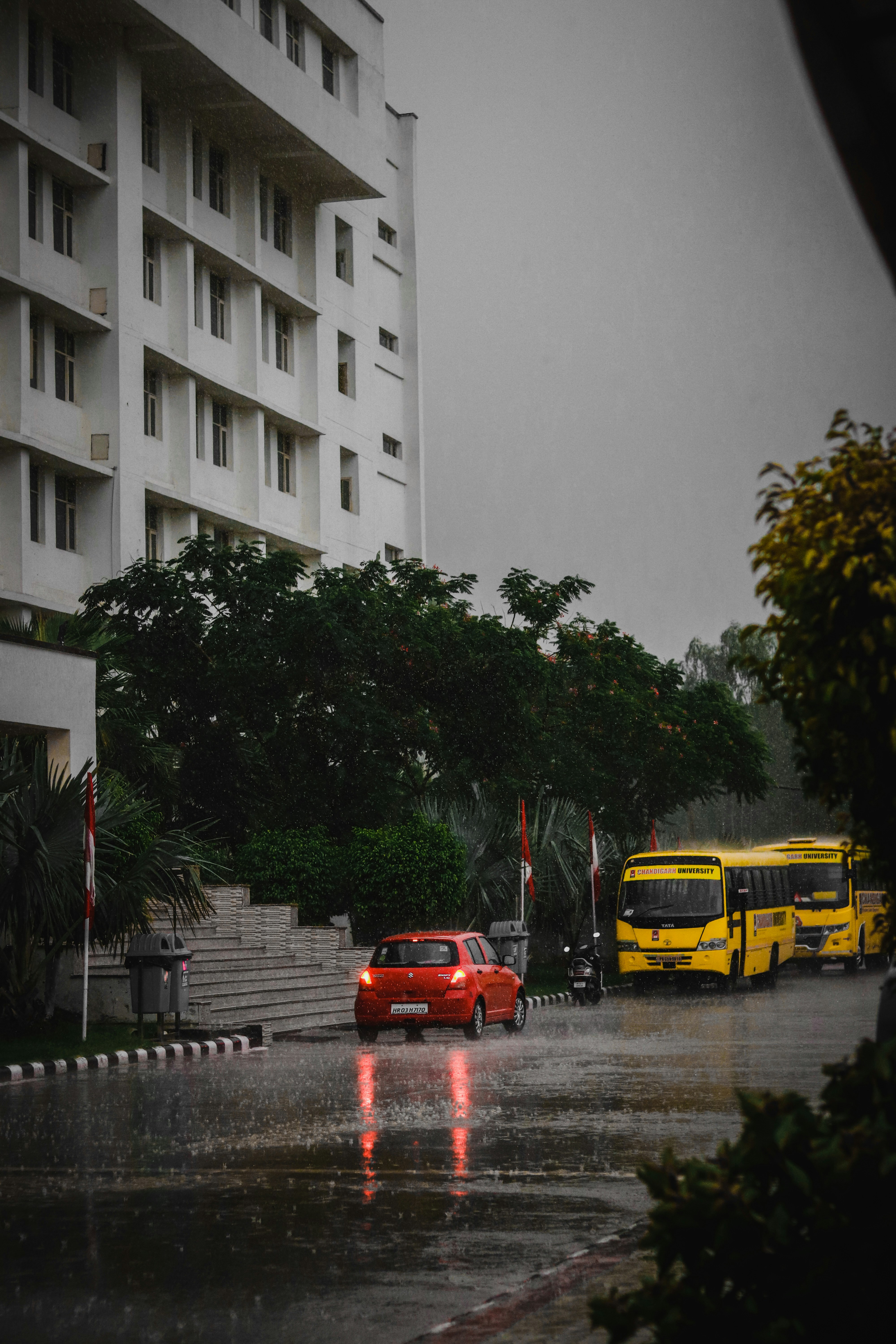 Photo by dollargill