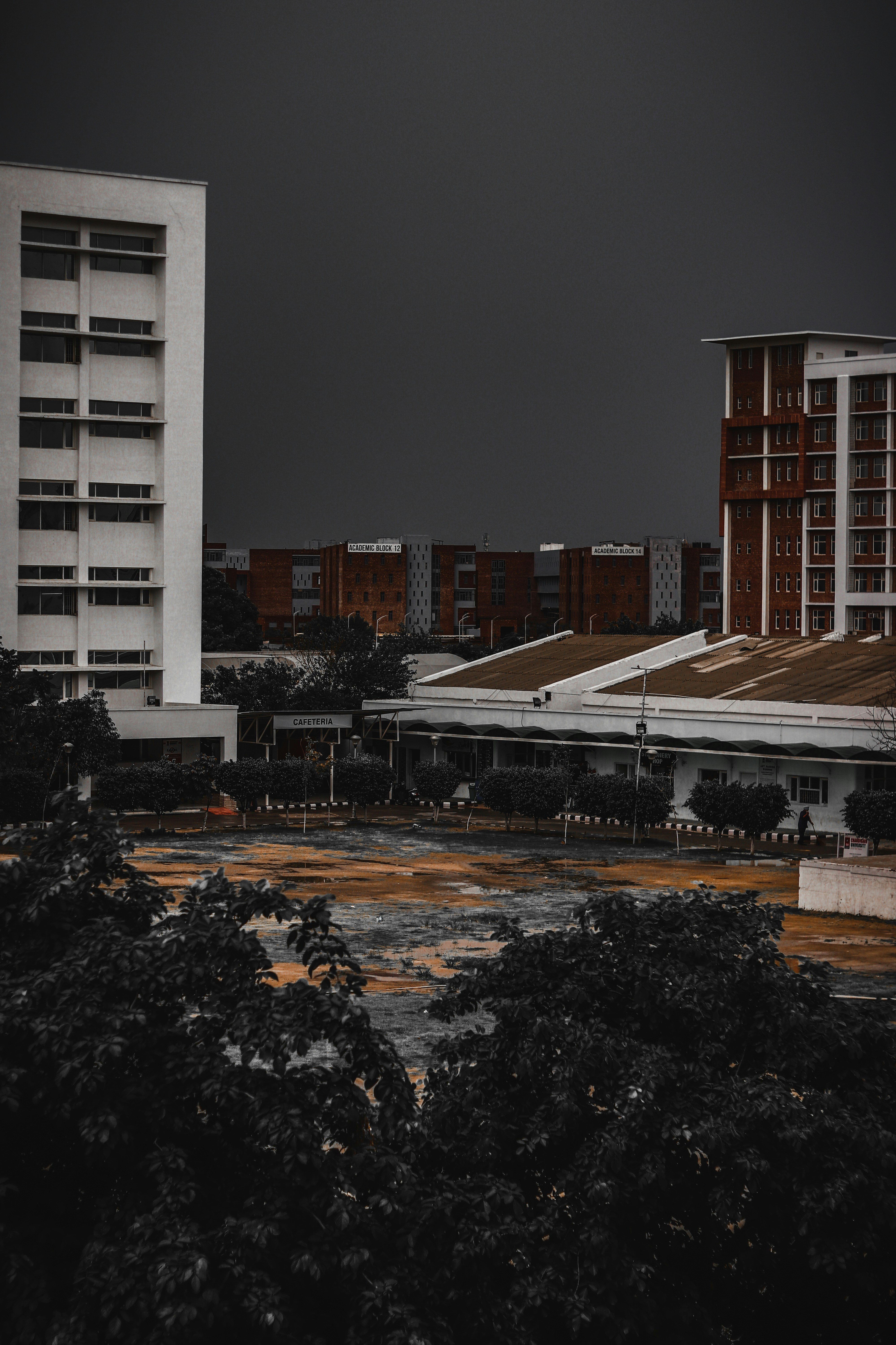 Photo by dollargill