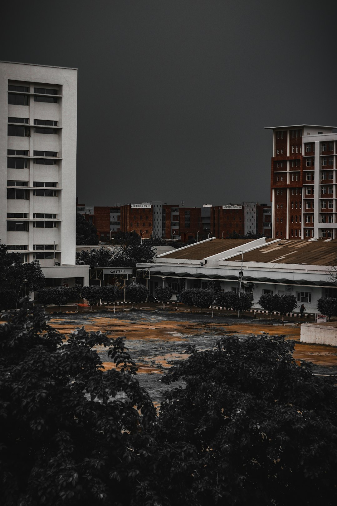 white and brown concrete buildings