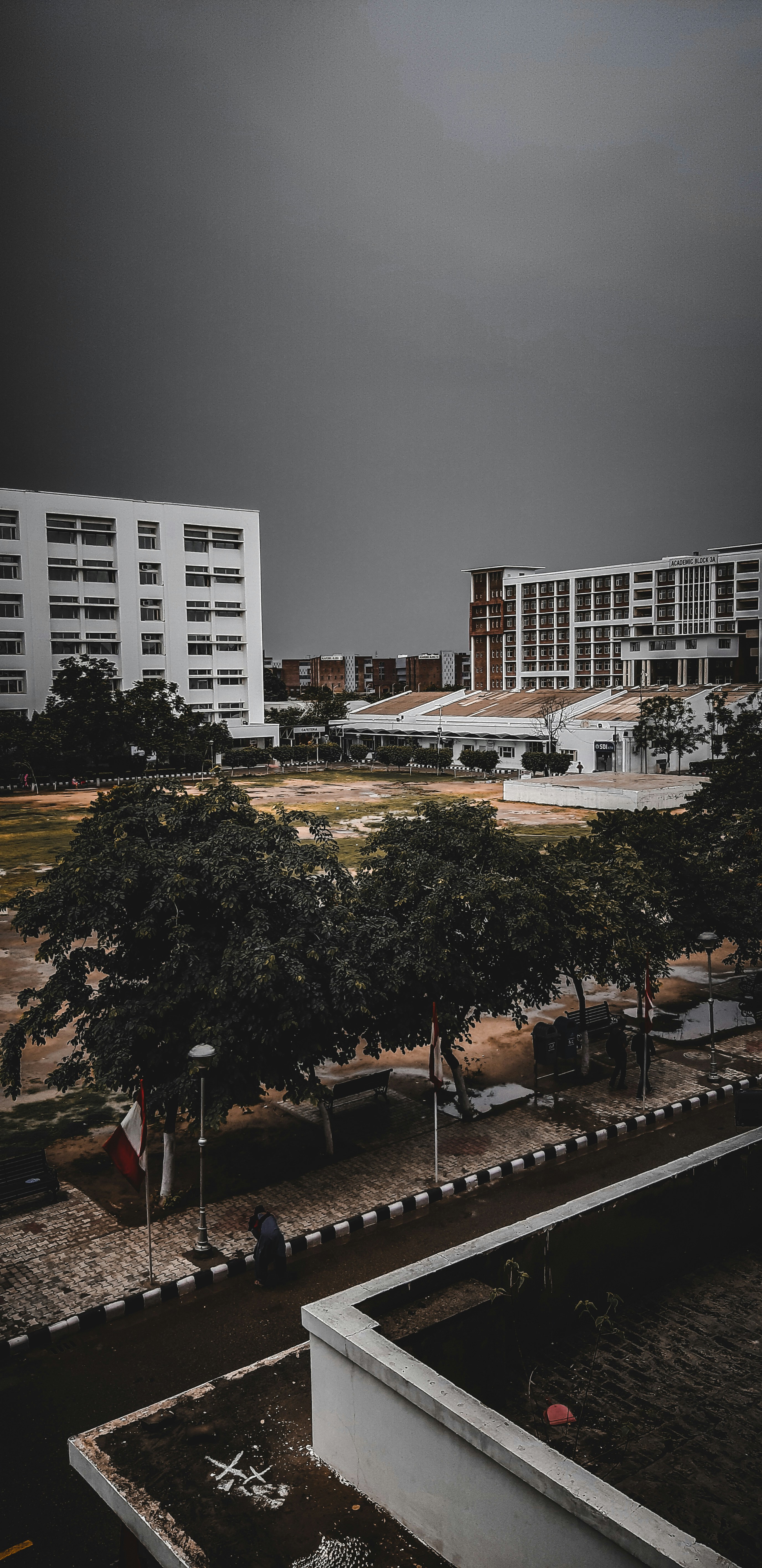 Photo by dollargill