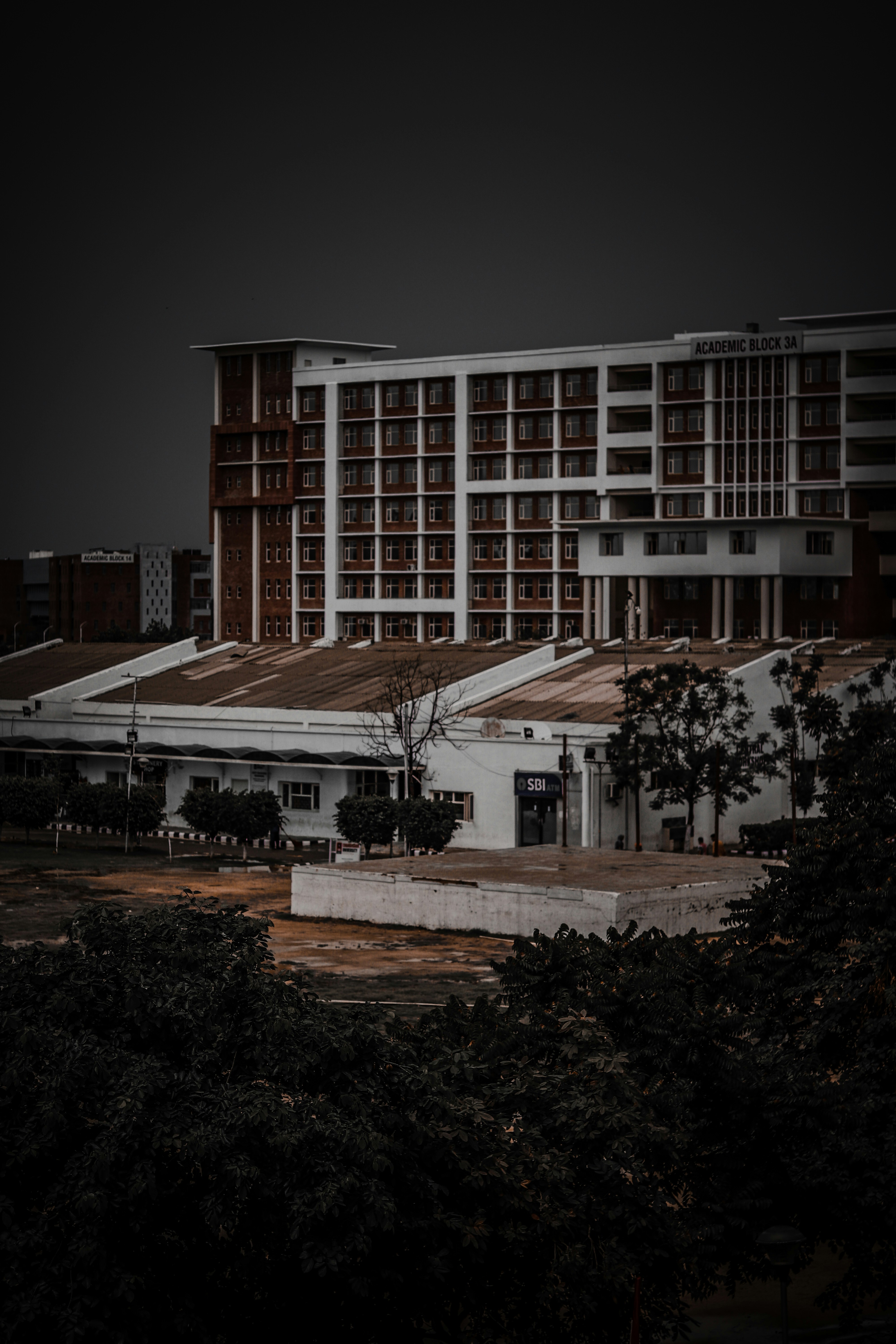 Photo by dollargill