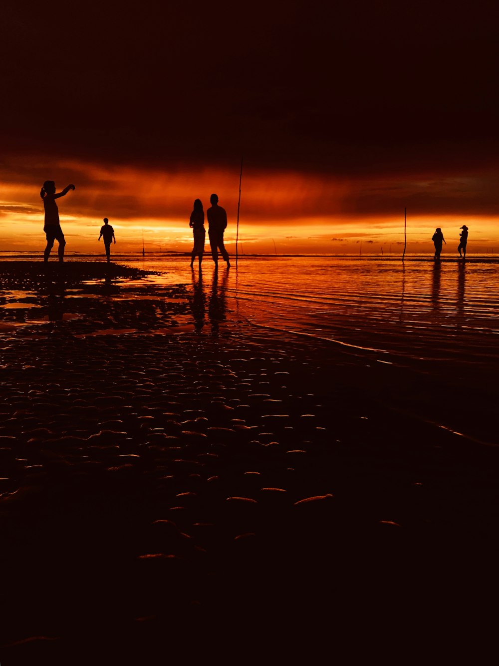 silhouette of people beside of body of water