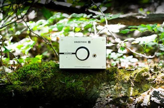 A small electronic device with the brand name 'Erzetich' and the model 'Bacillus Tilia' is placed on a moss-covered rock. The device appears to have a large knob and a headphone jack. Surrounded by greenery, the scene is a natural setting with small branches and sunlight filtering through the leaves.