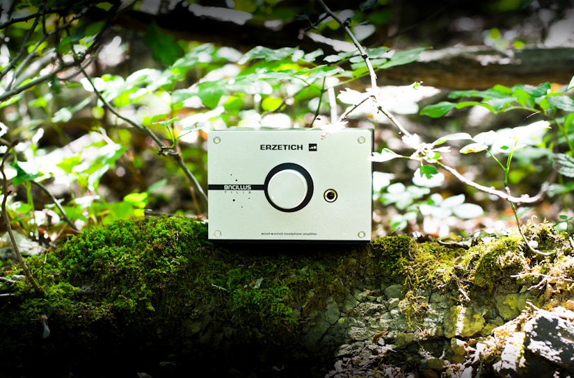 A small electronic device with the brand name 'Erzetich' and the model 'Bacillus Tilia' is placed on a moss-covered rock. The device appears to have a large knob and a headphone jack. Surrounded by greenery, the scene is a natural setting with small branches and sunlight filtering through the leaves.