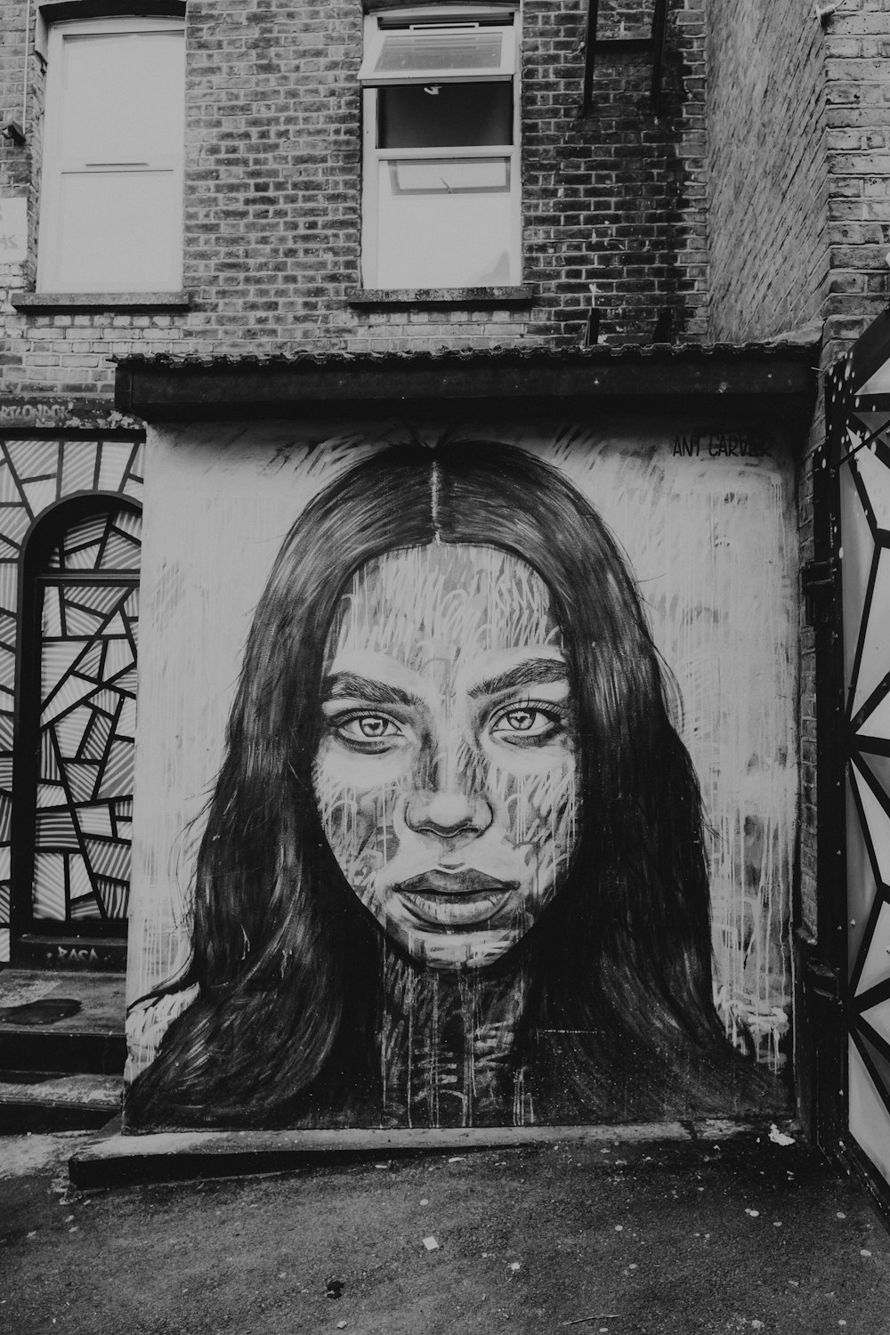 woman's face wall art