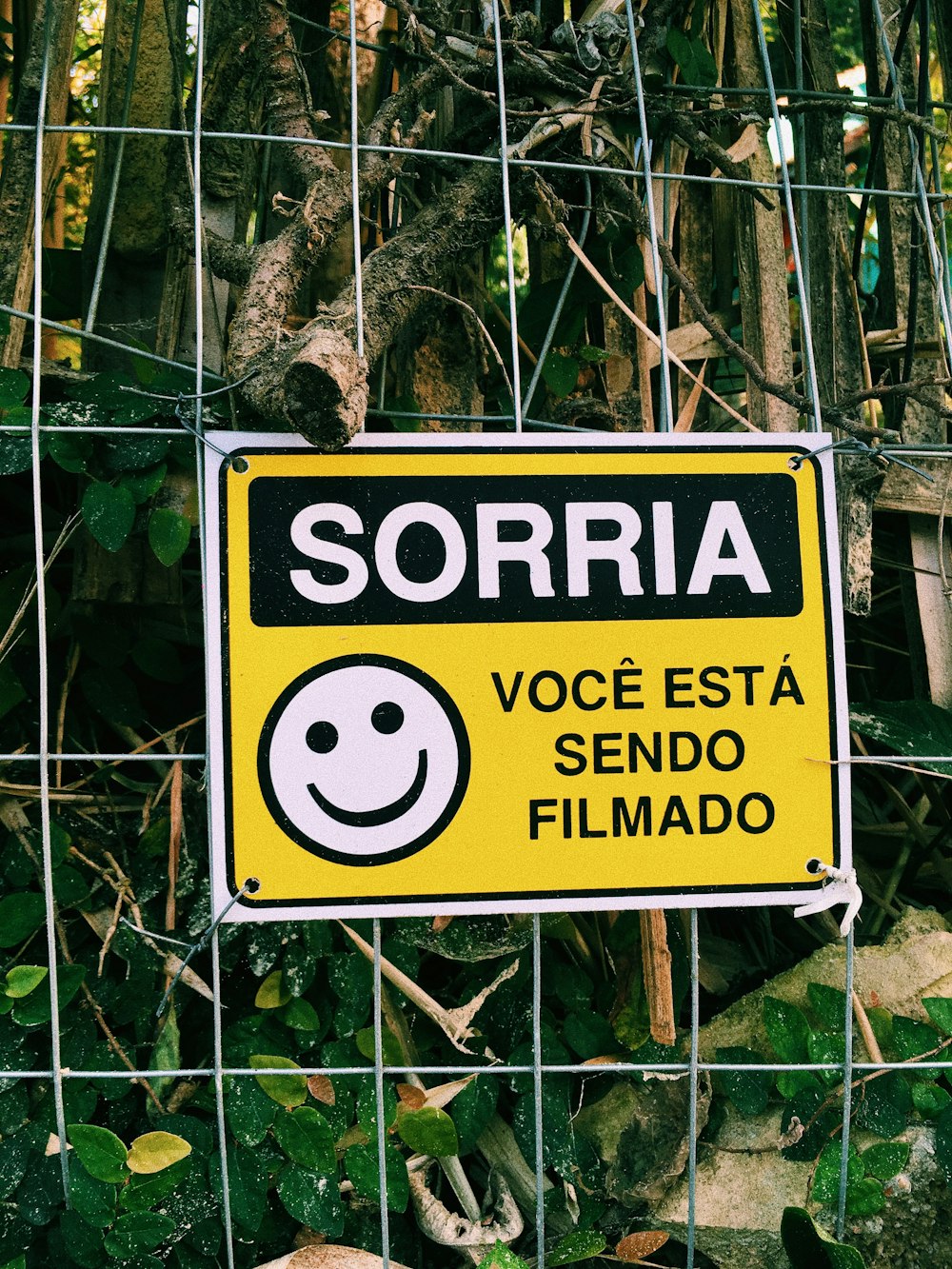 sorria voce esta sendo filmado