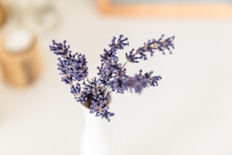 A serene reception desk with soft lighting and a small vase of fresh lavender.