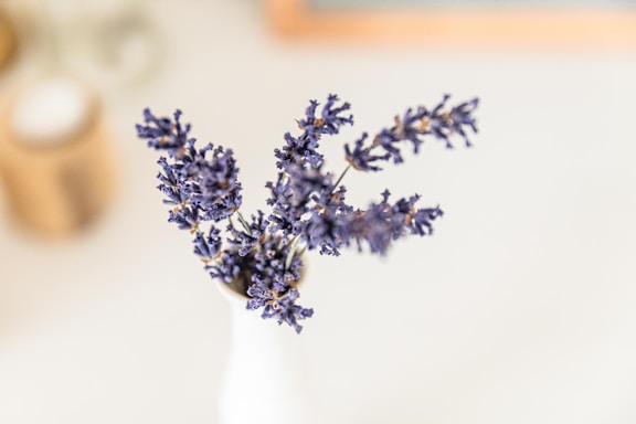 A serene reception desk with soft lighting and a small vase of fresh lavender.