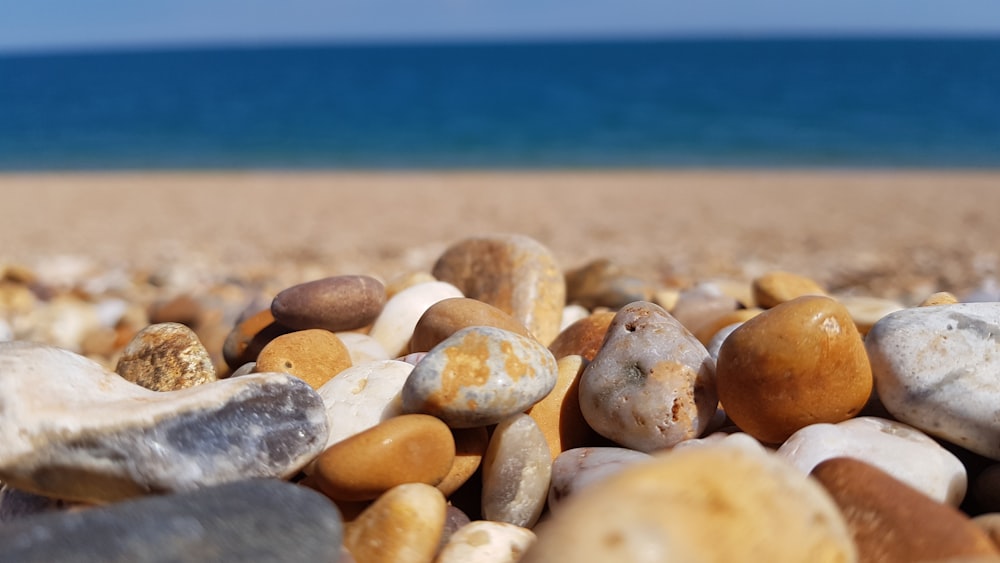 brown and grey rocks at the beach