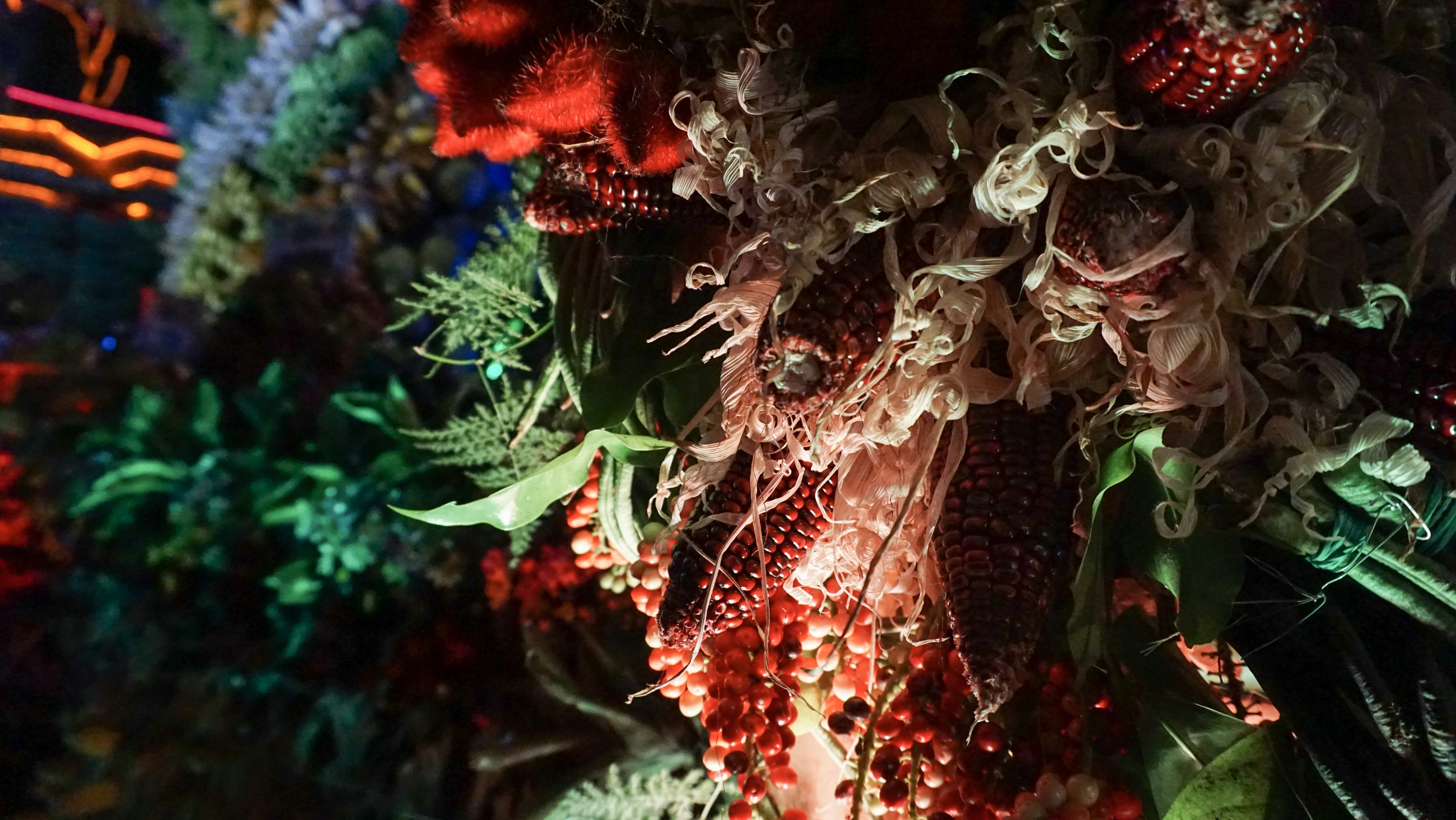 Photo by appledphotography