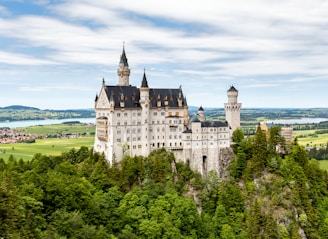 white and beige castle