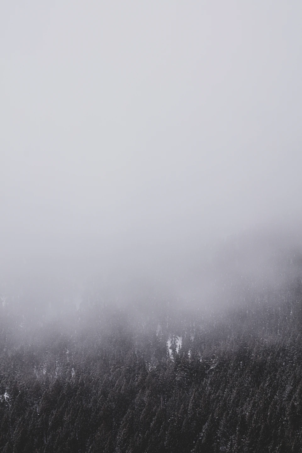 Foggy mountain landscape with dense forest below, hazy gray sky and obscured view