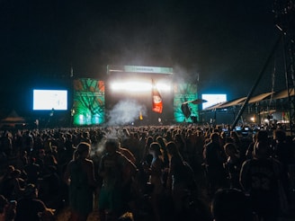 A large crowd gathers in front of a brightly lit stage at night. The festival setup includes colorful banners and large screens displaying images. Attendees are standing and interacting under a clear night sky.