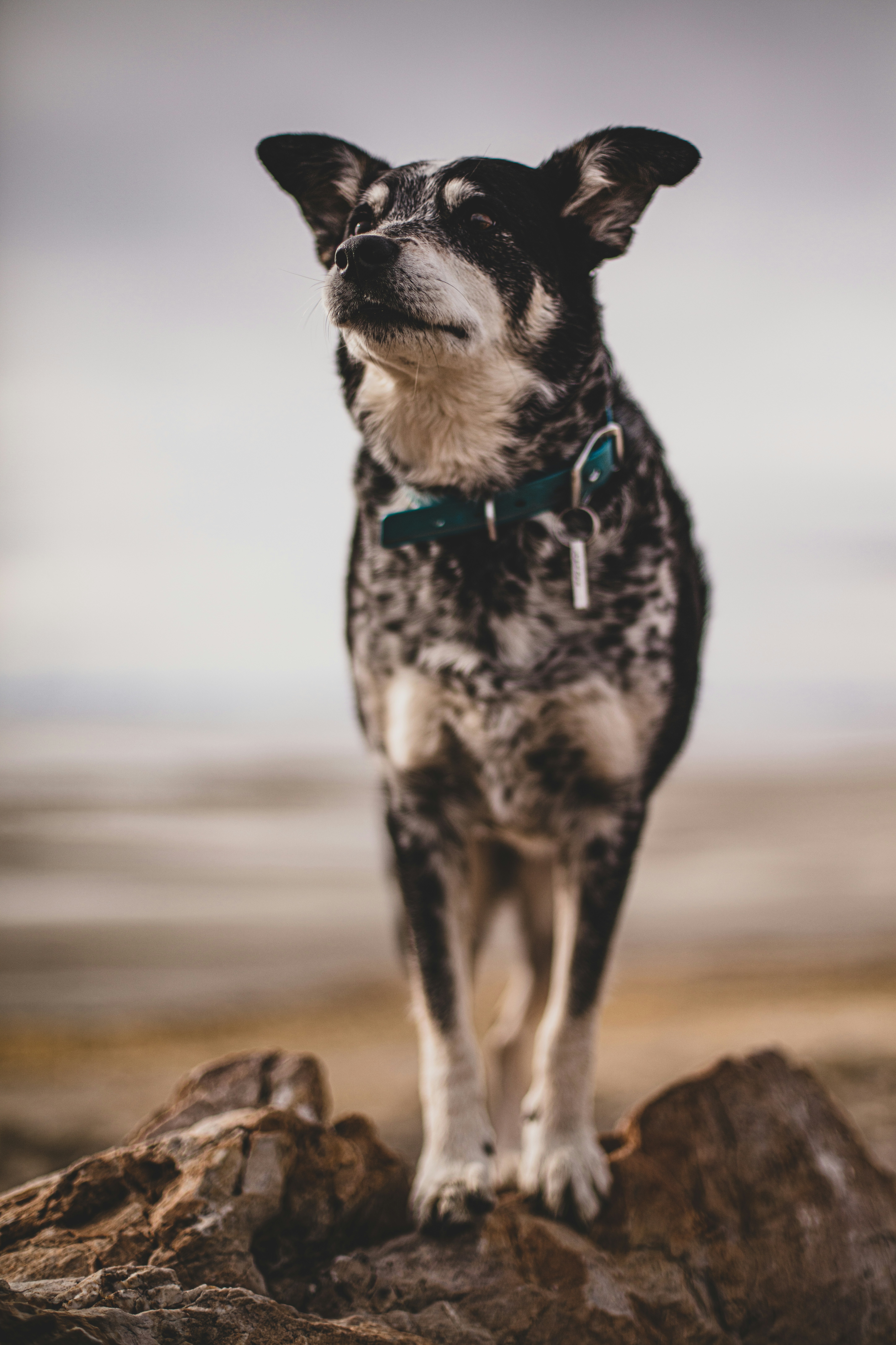 Photo by worldsbetweenlines