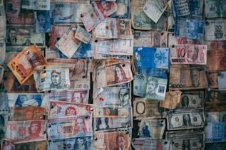 assorted-denomination banknote lot