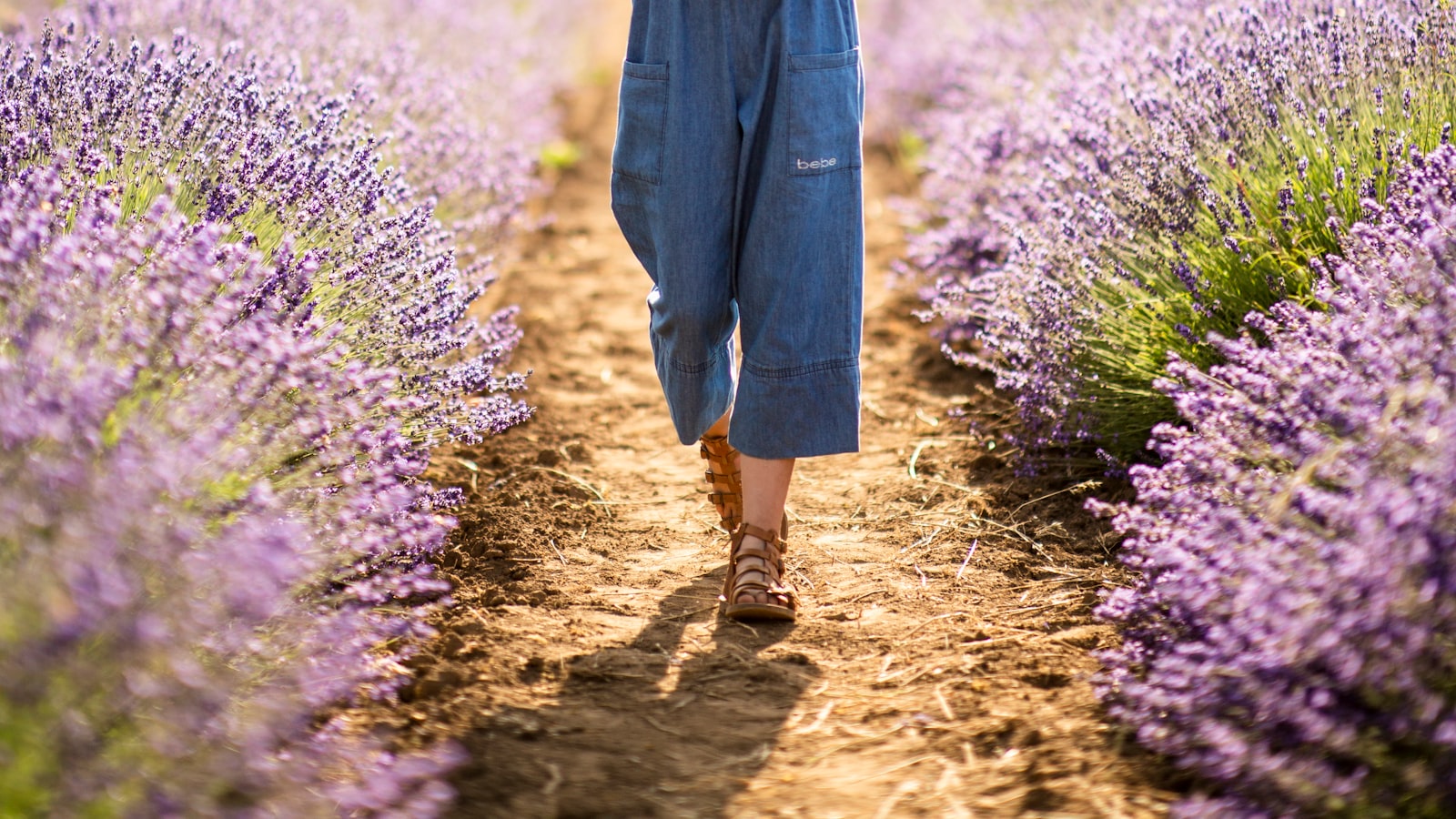 The Resilience of Lavender: Overcoming Clay Soil's Challenges