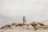 A bride and groom smiling warmly during their wedding photoshoot in the Sahara dunes.