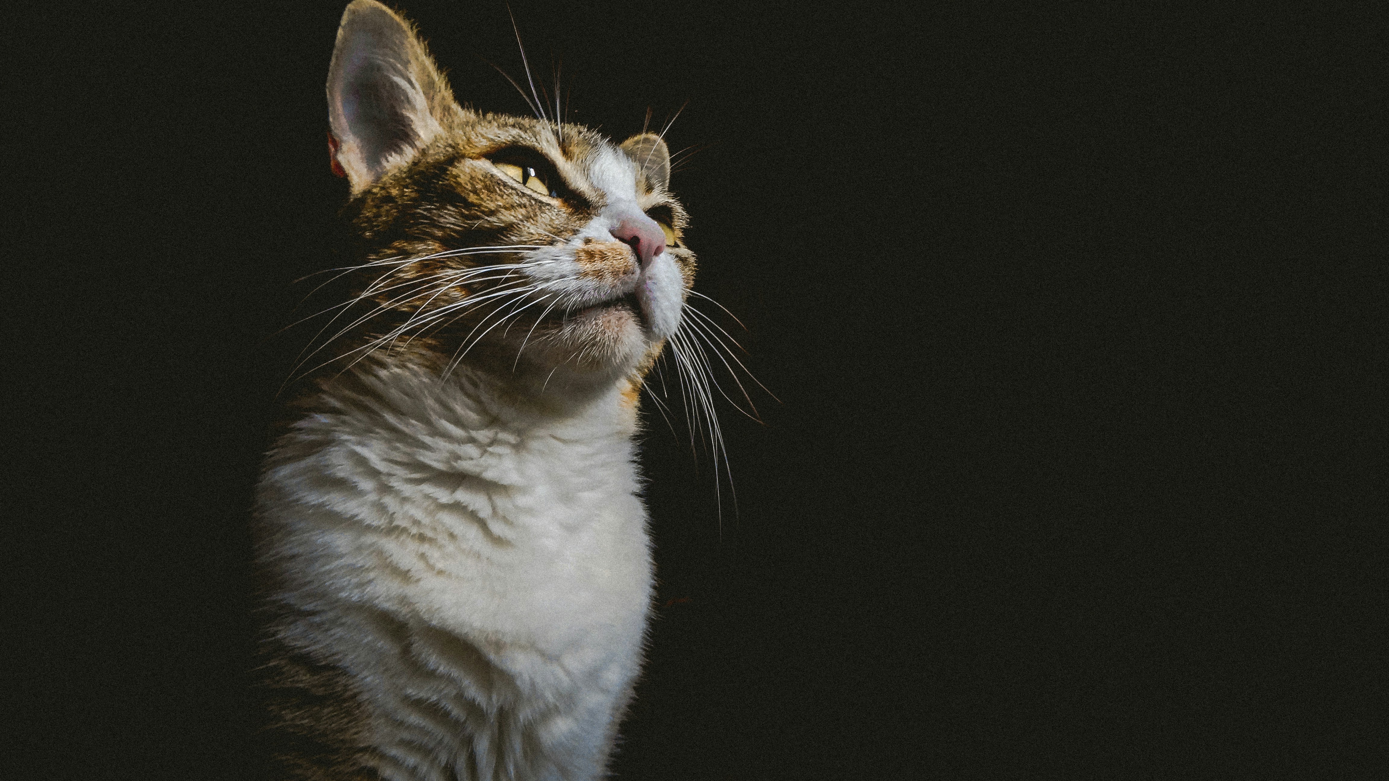 Photo by watchtheskiies