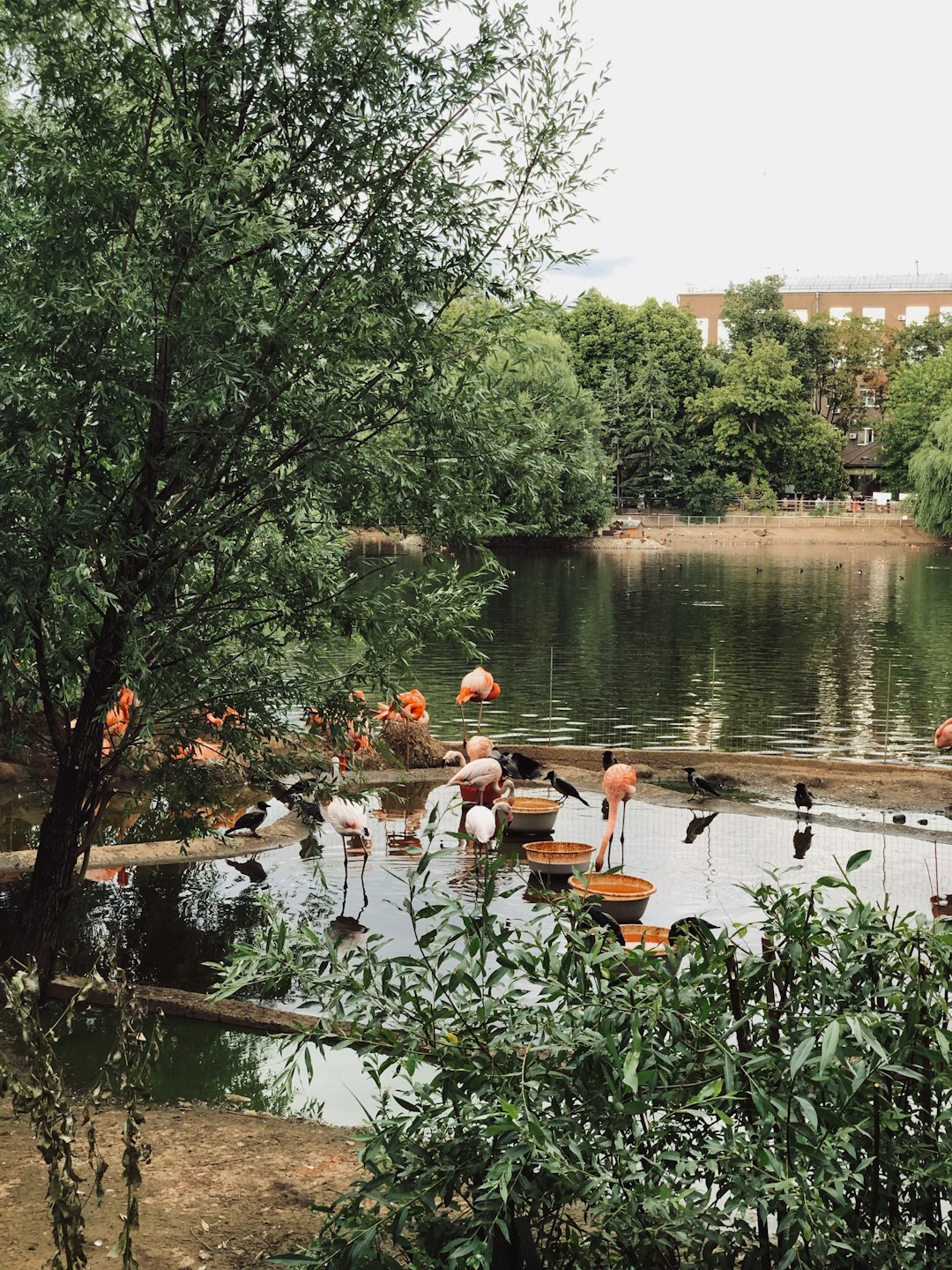 Waterway photo spot Грузинская Б. ул. Russia