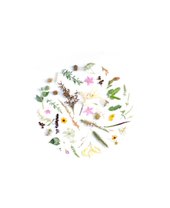 assorted-color flowers