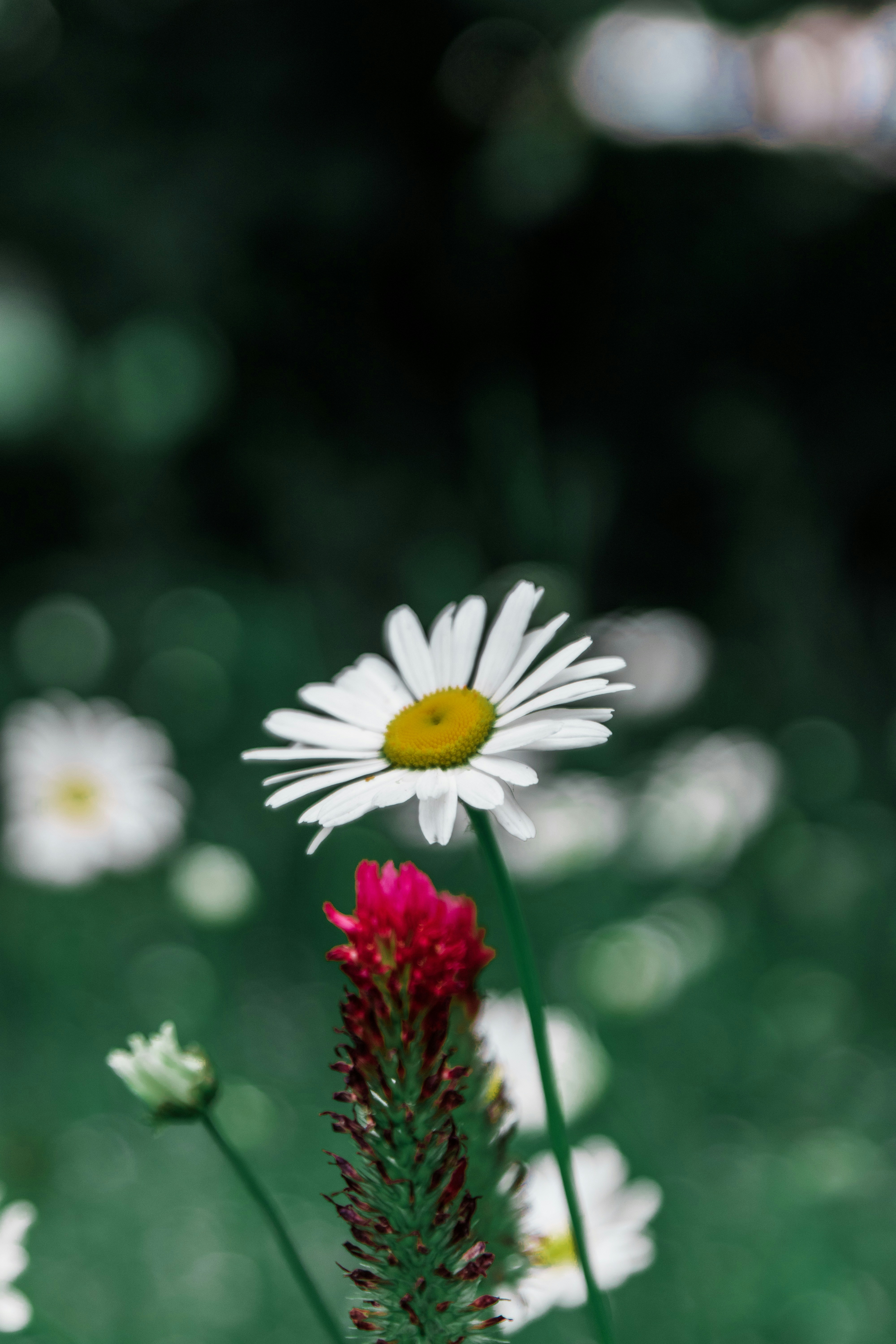 Photo by emilembunzama