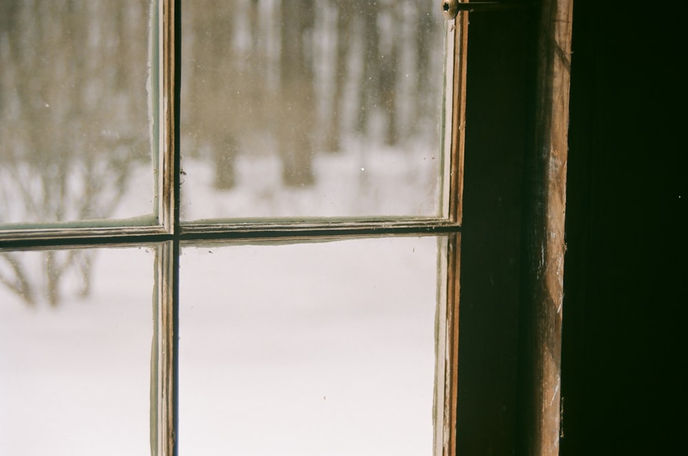 clear glass window across trees