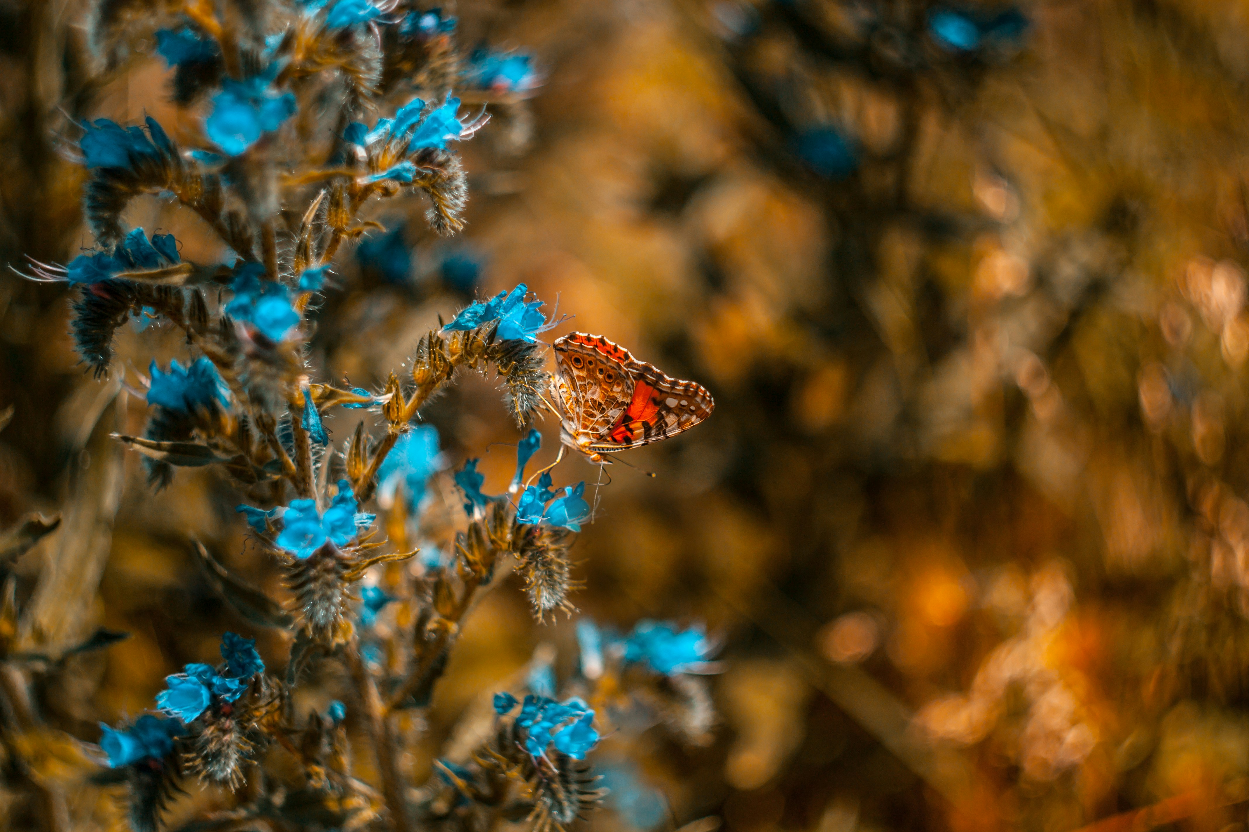 Photo by max010