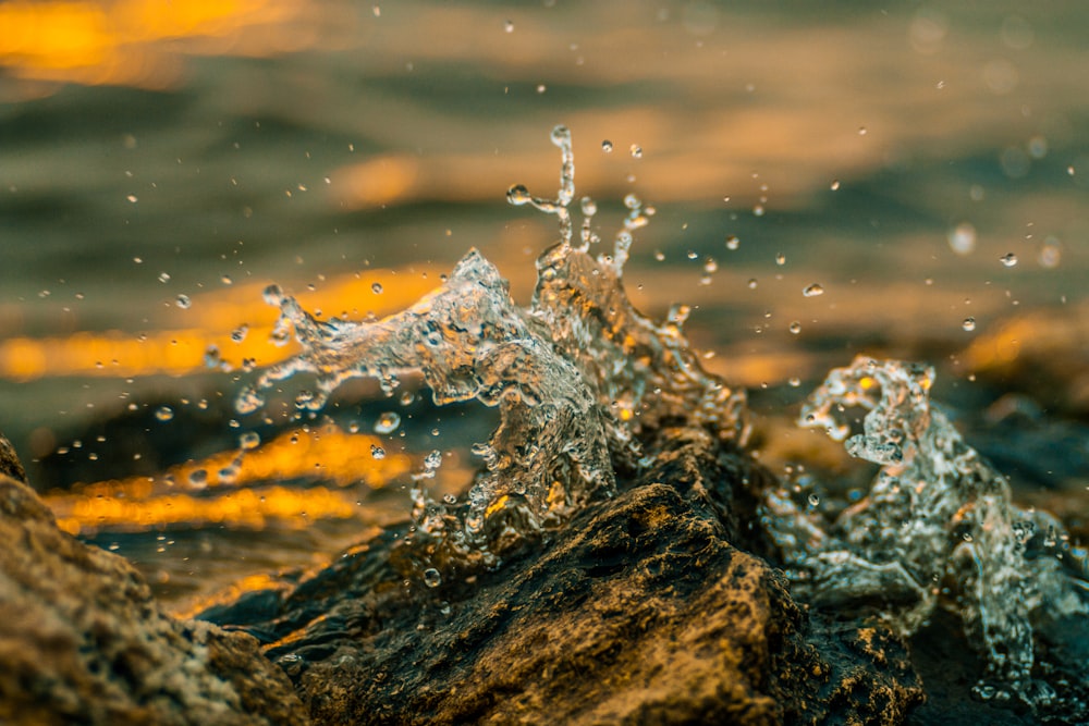 Fotografía de enfoque selectivo de salpicaduras de agua