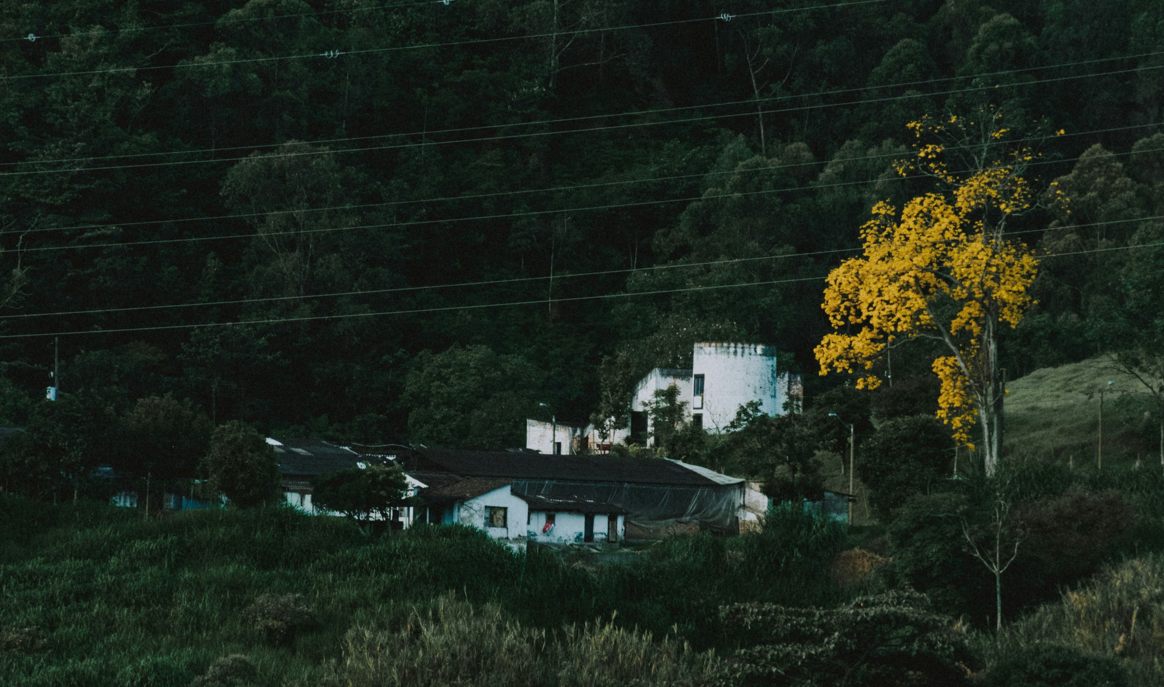 photo-1562966317-7e6bdd2c2381?ixid=M3wxMjA3fDB8MXxzZWFyY2h8MTh8fGRld2F0b2dlbHxlbnwwfHx8fDE3NDUyMzAxNjh8MA\u0026ixlib=rb-4.0.3