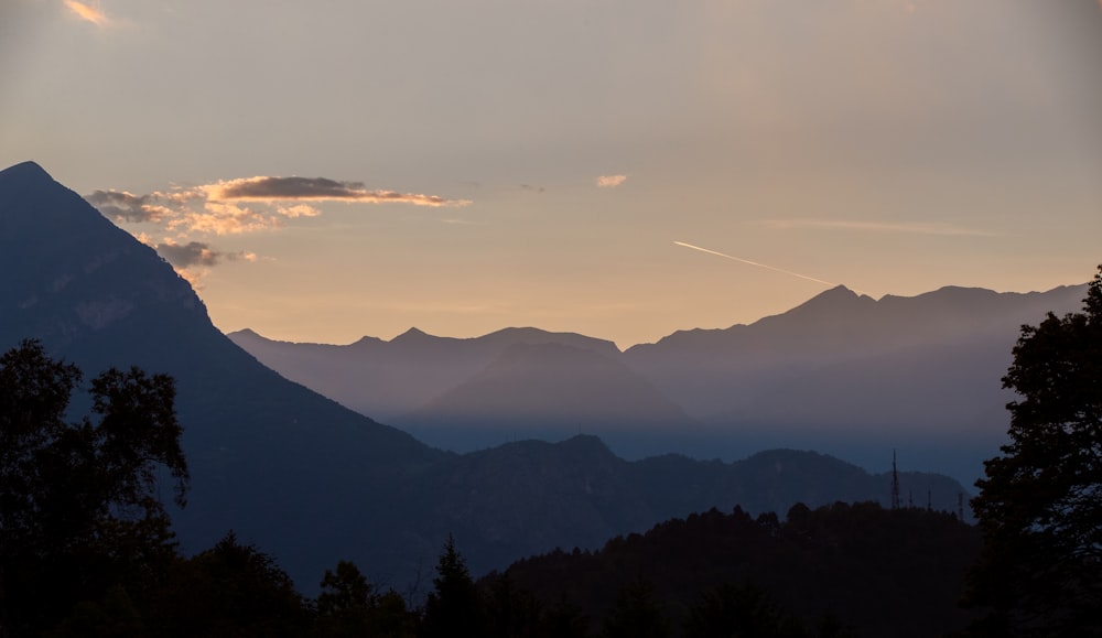 silhouette of trees near mountain