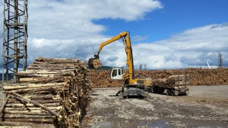 A large industrial crane with a yellow arm is stacking logs at a lumber yard. Piles of cut logs are arranged on the ground, and a truck loaded with timber is visible. The sky is partly cloudy, providing a bright backdrop to the scene.