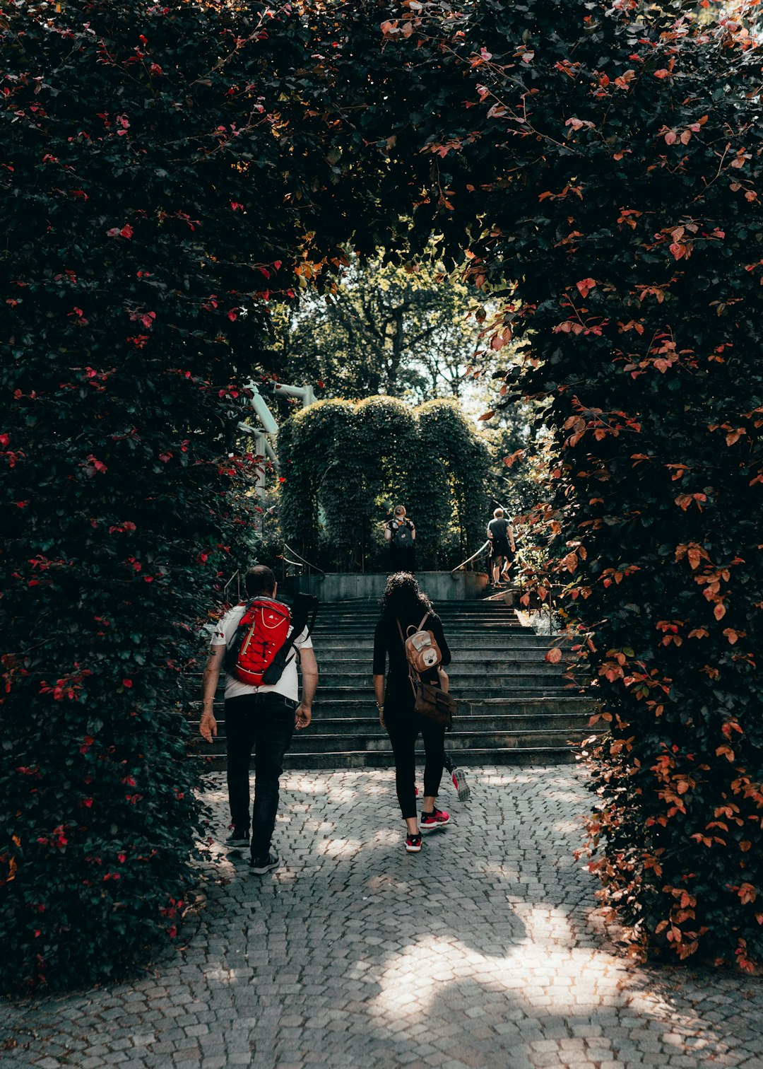 woman and man walking on pathway