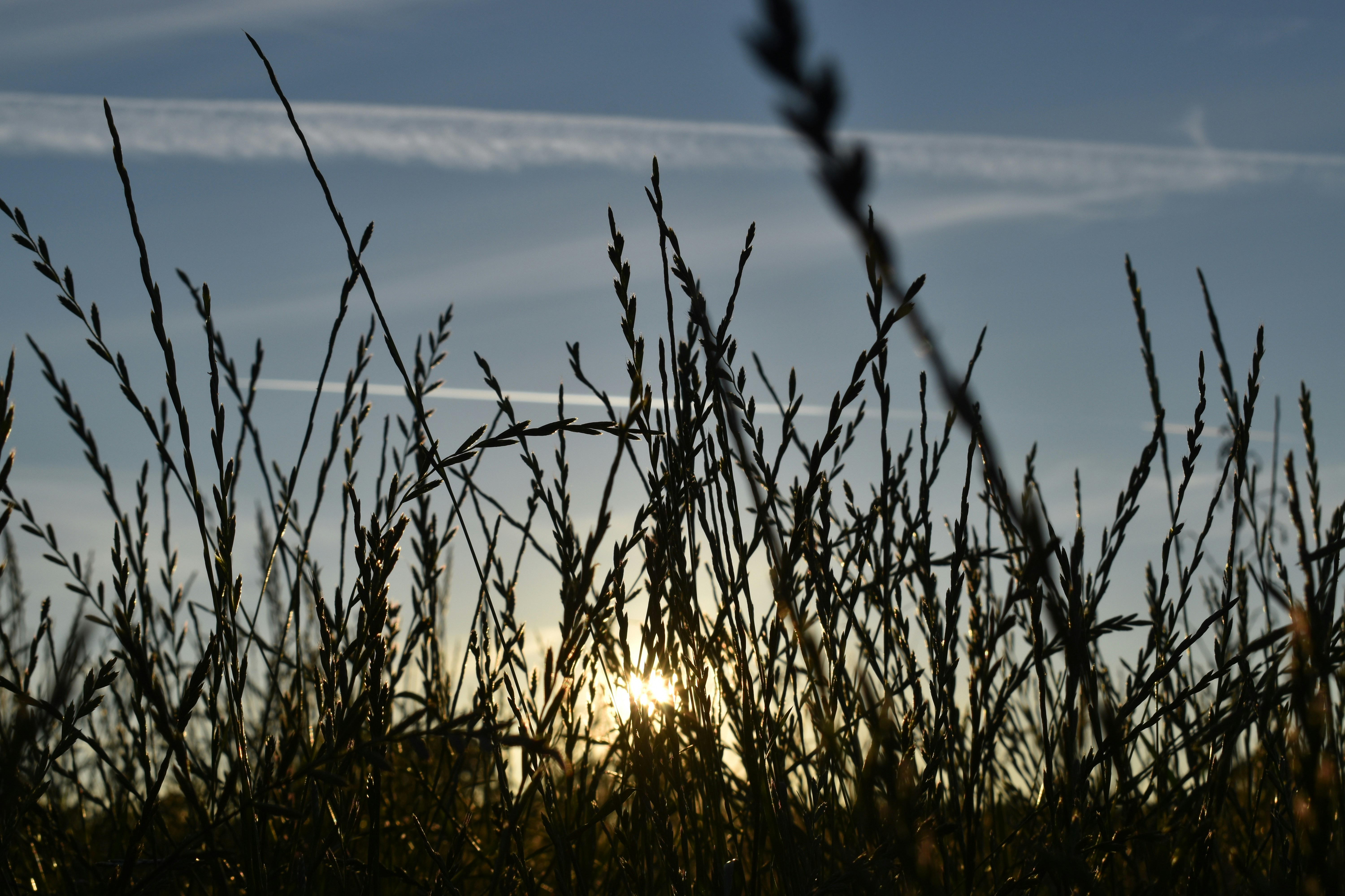 Photo by pictures102