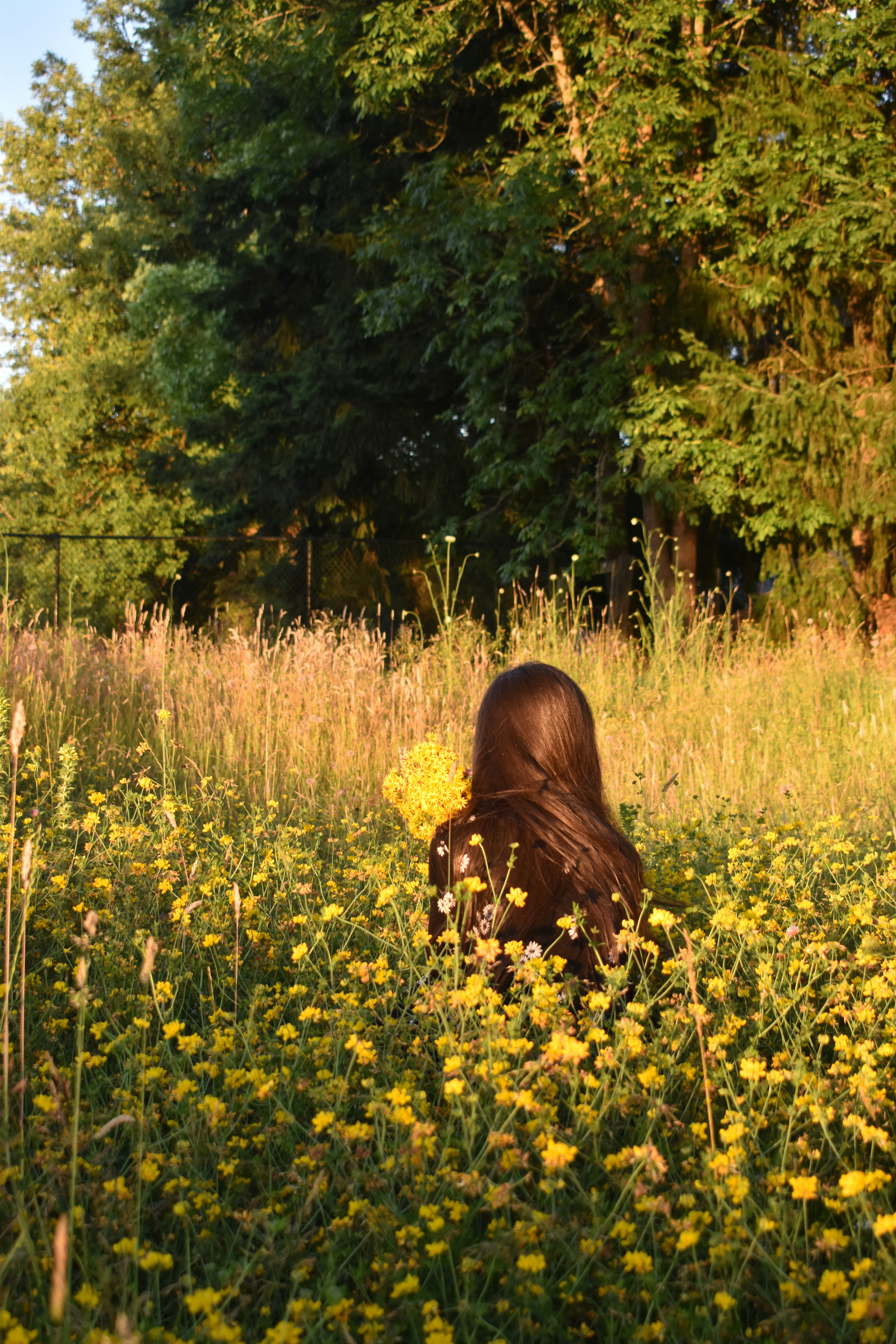 Photo by pictures102