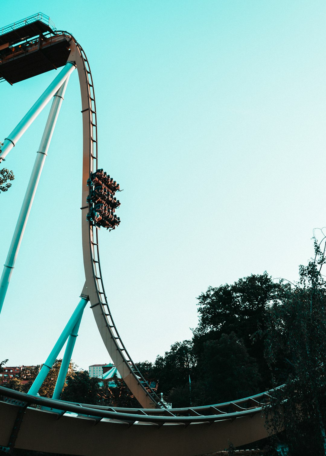 white roller coaster