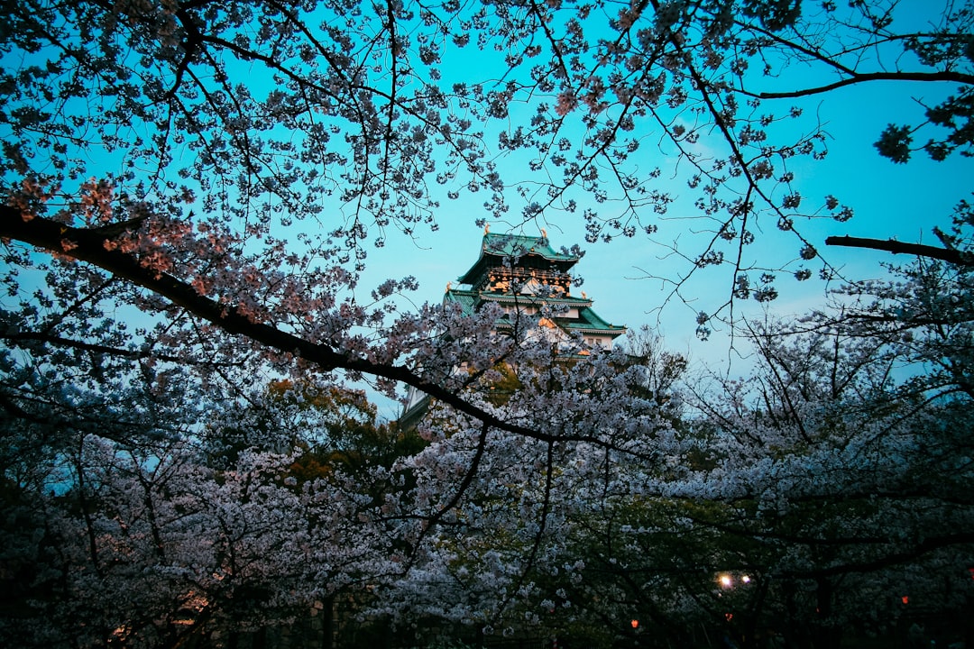 green temple near trees